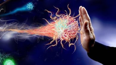 Photo of Исследование: иммунные клетки «совещаются» между собой, прежде чем реагировать на угрозу