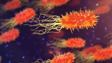 Photo of Микробиом человека: удивительные факты о бактериях во рту, кишечнике и других местах