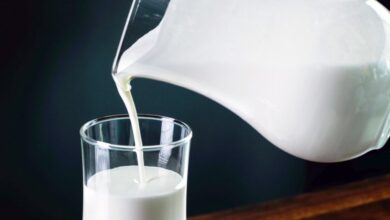 Photo of Сырое молоко нельзя оставлять в тепле: могут размножиться устойчивые к антибиотикам микробы