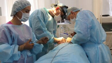 Photo of Имплантация без швов: в России создали биопротез клапана сердца