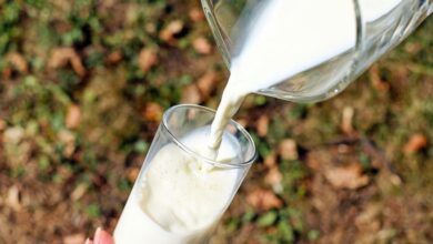 Photo of Мифы или реальность: 6 любопытных фактов о молоке