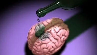 Photo of Алкоголь и мозг